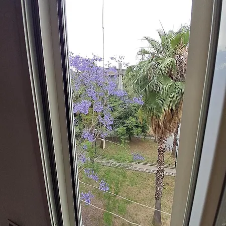 בית הארחה Flyway