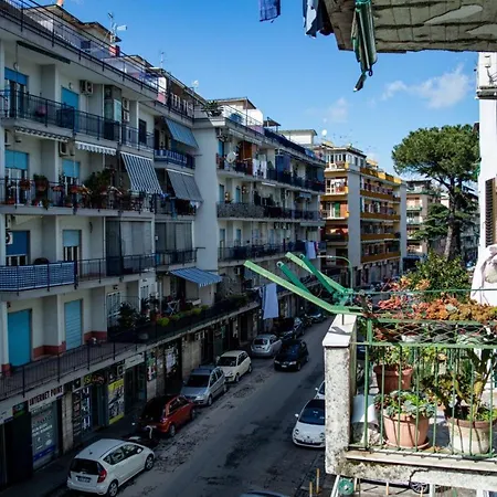 بيت ضيافة Flyway 3*